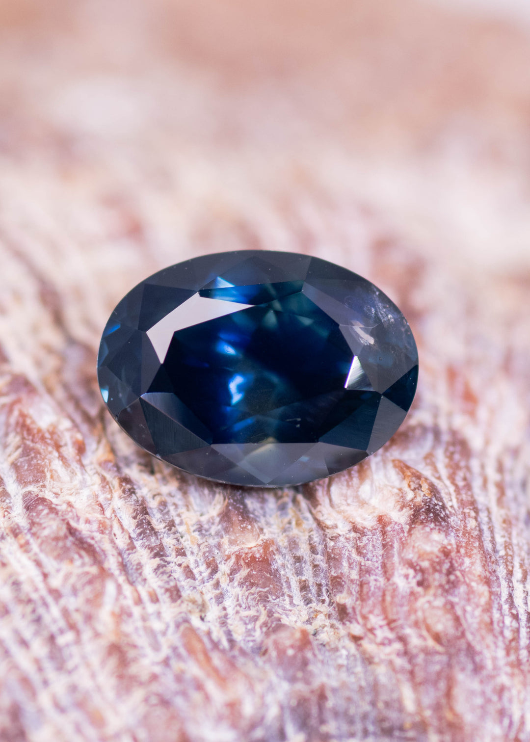 2.62 carat heated blue Montana sapphire oval mix cut resting on textured shell surface, deep royal blue color from El Dorado Bar Deposit, precision faceting shown