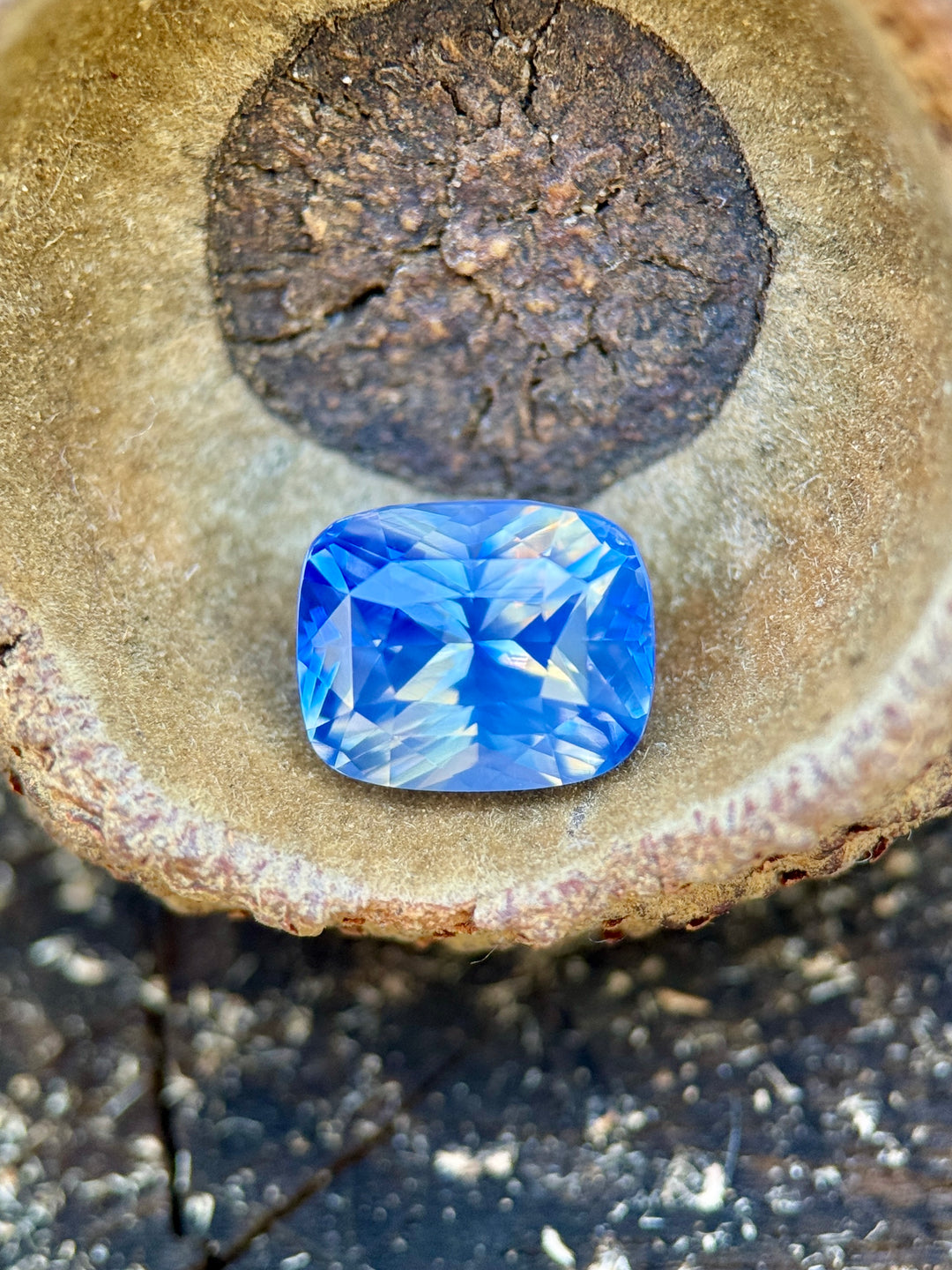 2.64CT blue and white parti sapphire resting in a natural seed pod, highlighting opalescent tones and intricate facet reflections of the mix cushion cut, unheated gemstone from Sakaraha, Madagascar.