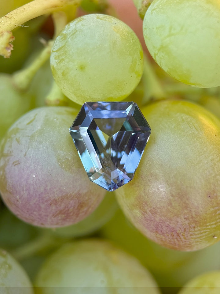 2.75 carat Tanzanite gemstone with teal, green, and purple hues in a custom step cut shield shape, resting on fresh grapes for natural contrast