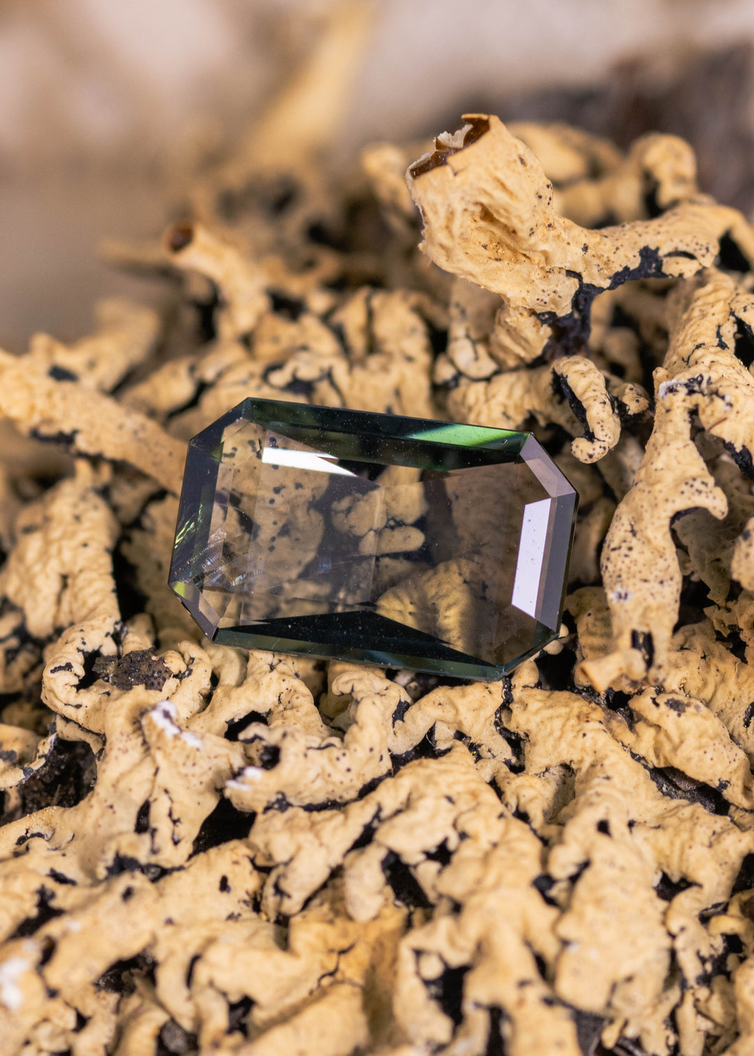 2.96 carat teal blue-green purple Tanzanite low profile custom emerald cut displayed on natural coral surface, Merelani Hills Tanzania gemstone showing elongated rectangular shape, beveled corners and transparent step faceting for custom jewelry design