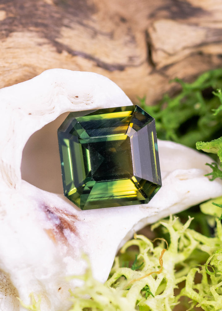 Loose 3.10 carat parti sapphire from the Central Queensland Gemfields shown face-up on a shell, displaying the Asscher cut step facets and natural green, yellow, and blue color zoning.