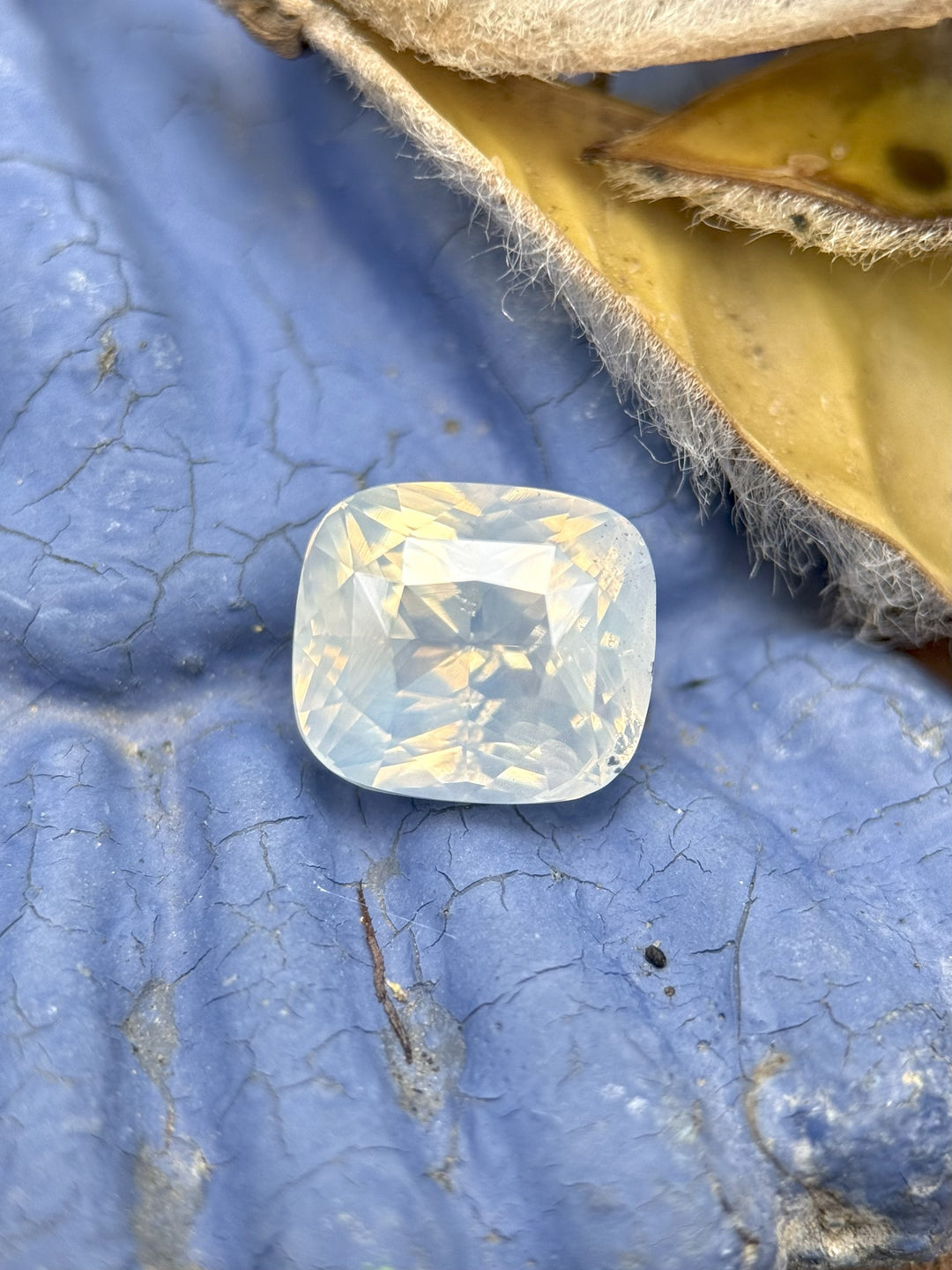 3.01 carat opalescent white sapphire resting on a blue and yellow natural background, showing precision cushion mixed cut facets and soft luminous sheen, untreated gem from Ratnapura, Sri Lanka.