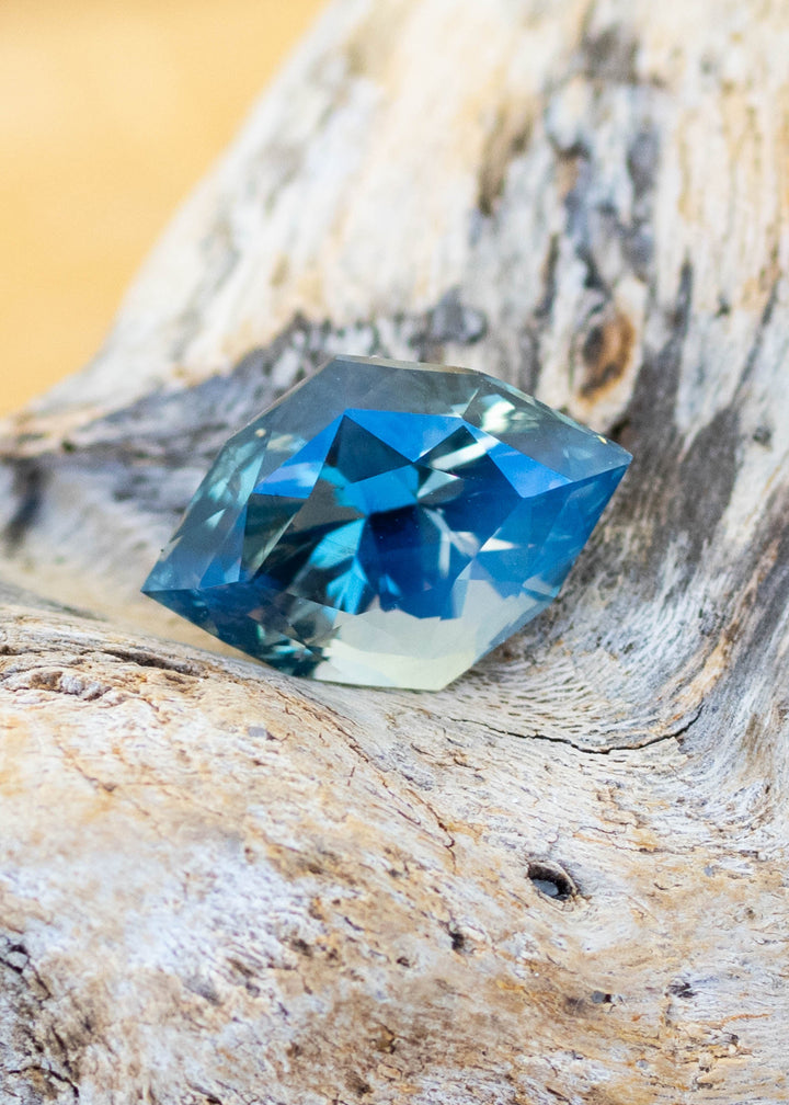 3.02ct opalescent teal parti marquise cut sapphire resting on winding driftwood in natural lighting.