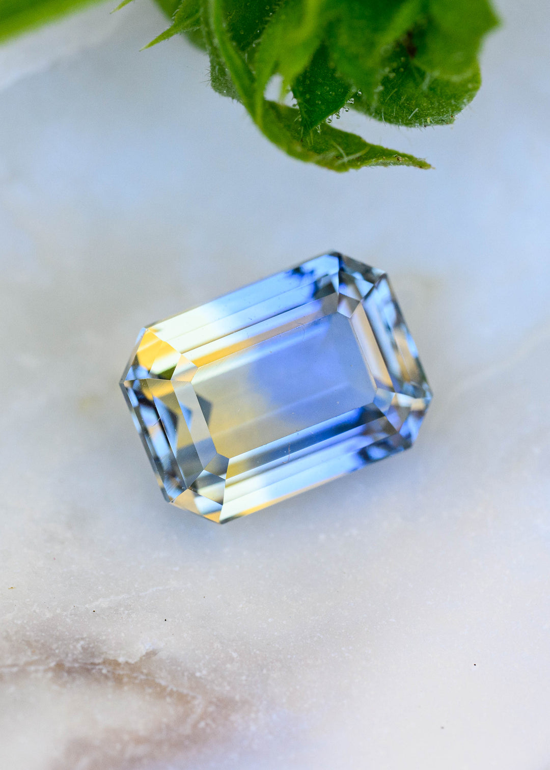 3.03 carat blue and yellow parti sapphire in a precision emerald cut, photographed on a pale natural surface with green foliage above, showing broad blue and golden color zones.