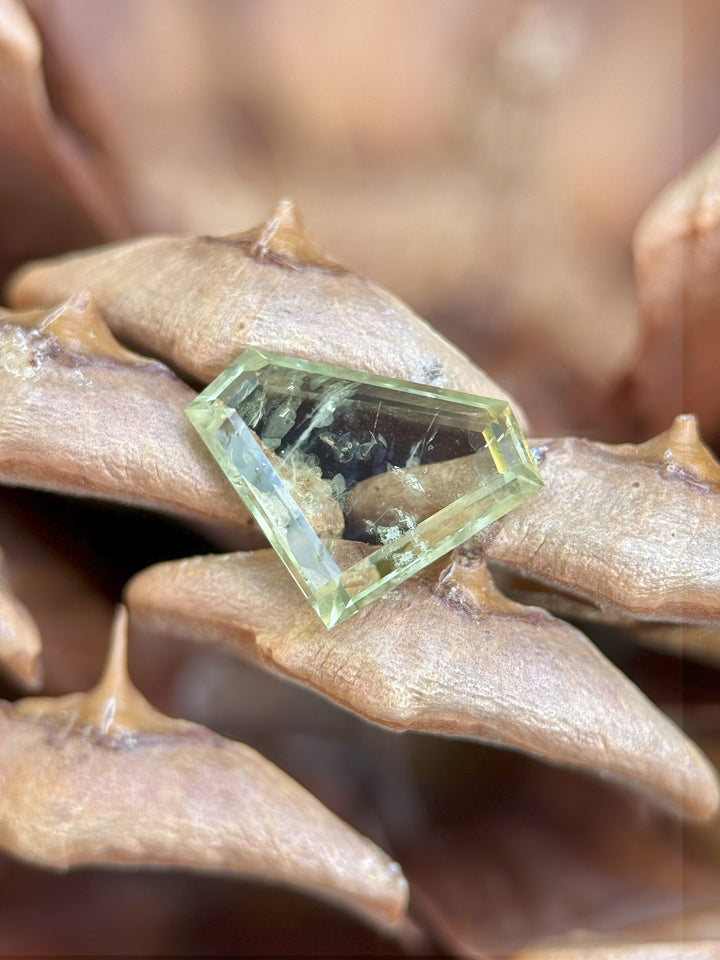 Close-up of a 3.03-carat earthy green Montana sapphire in custom shield portrait cut, sourced from El Dorado Bar Deposit.