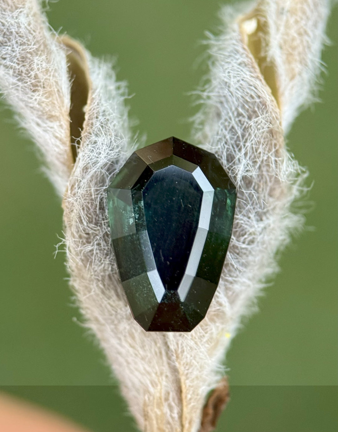 3.07 carat dark blue-green shield cut sapphire from Nigeria displayed on a velvet seed pod, highlighting its natural step-cut facets.