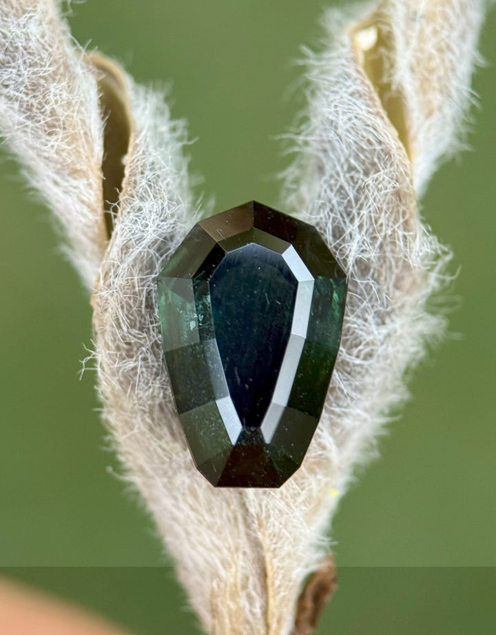 3.07 carat dark blue-green shield cut sapphire from Nigeria displayed on a velvet seed pod, highlighting its natural step-cut facets.