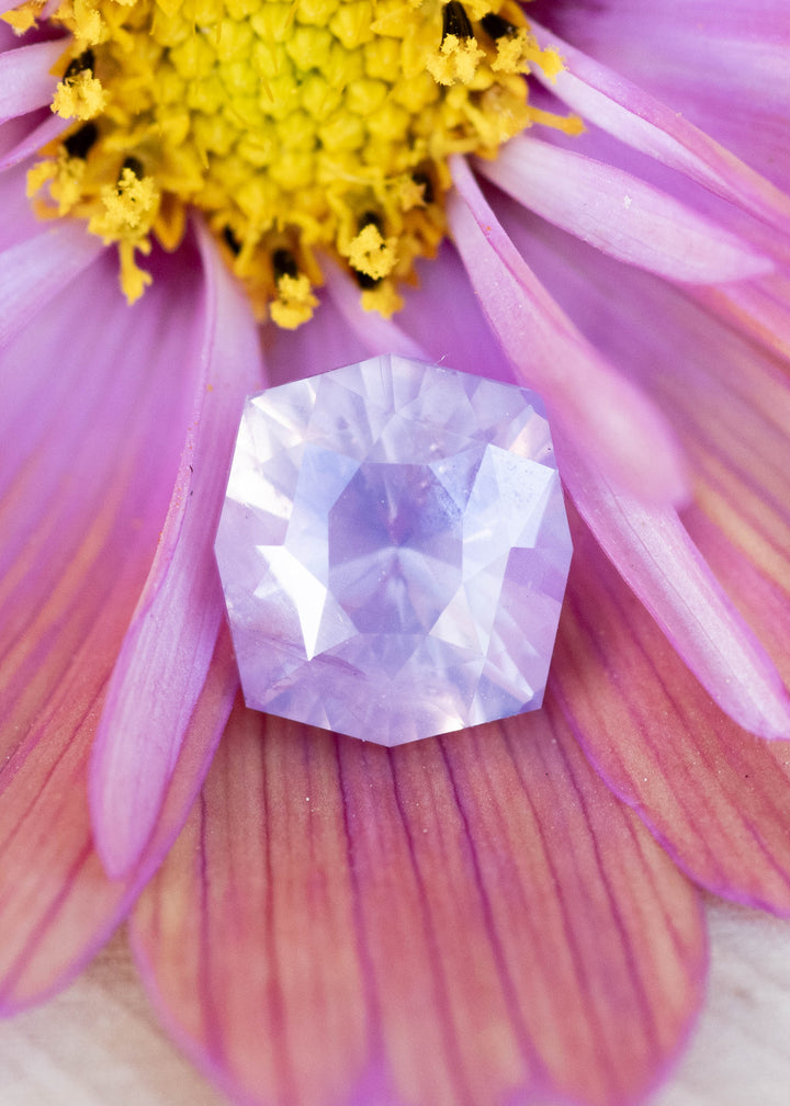 Loose 3.43 carat opalescent lavender pink sapphire resting on a pink flower showing its custom geometric radiant cut from Sri Lanka.