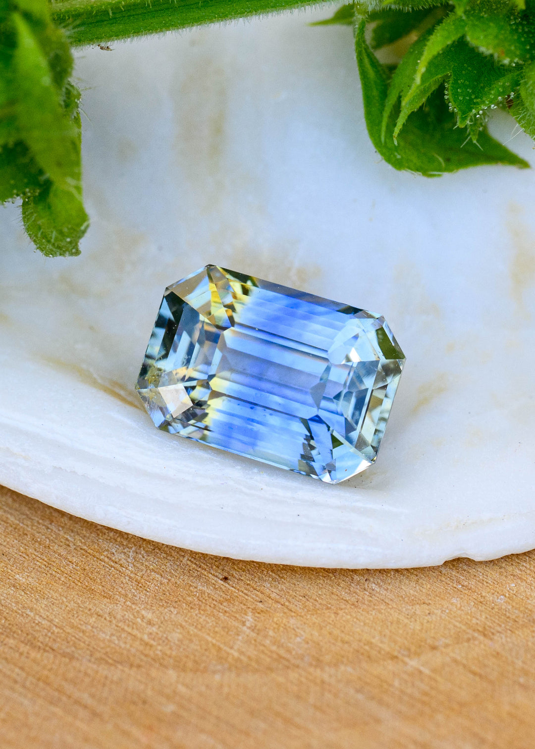 3.48 carat unheated blue and yellow parti sapphire in a precision custom emerald cut resting on a pale natural surface beneath green foliage, showing vivid blue bands and pale yellow zoning.