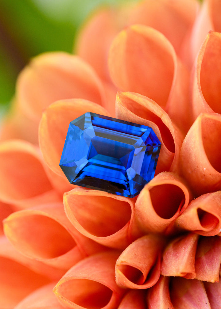 3.54 carat slightly teal royal blue Madagascar sapphire in a precision emerald cut resting among vivid orange flower petals, showing deep saturated blue color and crisp step facets.