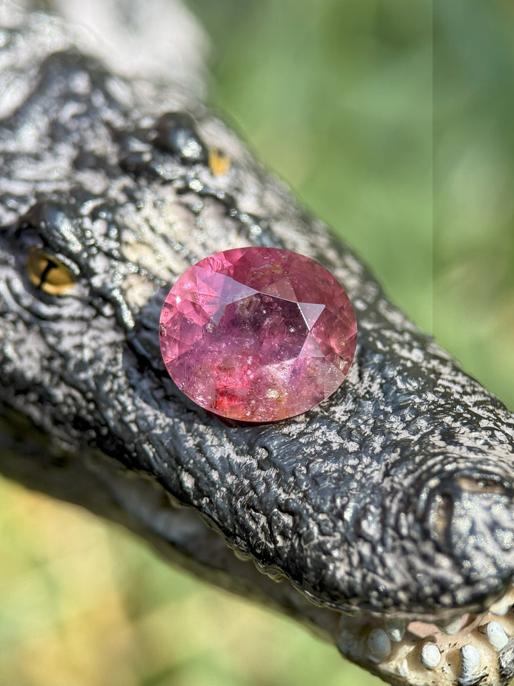 Untreated 3.60ct sapphire with purplish red hue displayed on textured black reptile figure in natural daylight