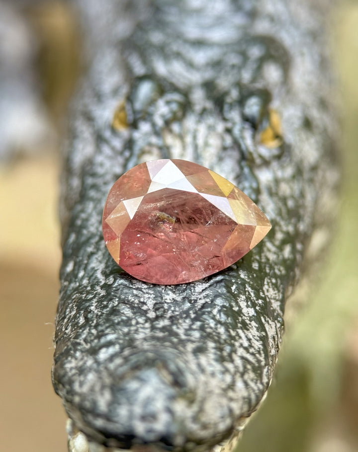 3.75 carat earthy orangish red pear-cut sapphire from Umba River, Tanzania, displayed on a textured alligator sculpture for a bold artistic contrast