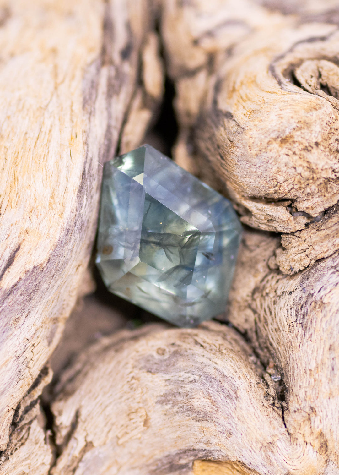 3.78ct teal and blue Montana sapphire in geometric tablet kite cut resting between textured driftwood, showing deep forest-green zoning with steel-blue flashes and angular facet reflections.
