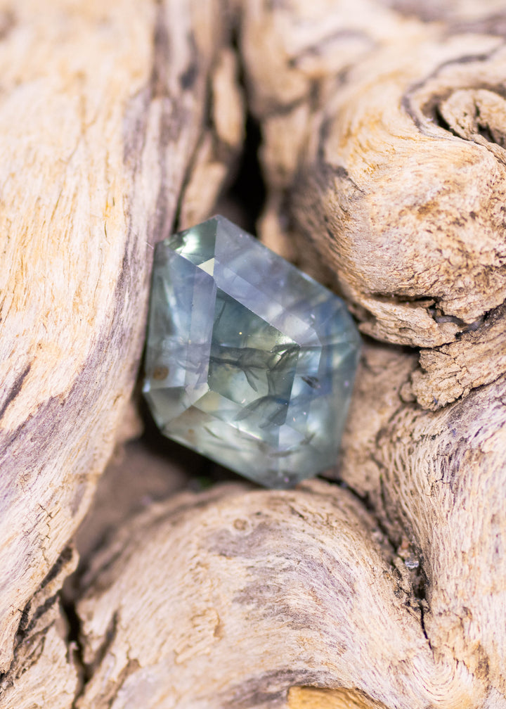 3.78ct teal and blue Montana sapphire in geometric tablet kite cut resting between textured driftwood, showing deep forest-green zoning with steel-blue flashes and angular facet reflections.