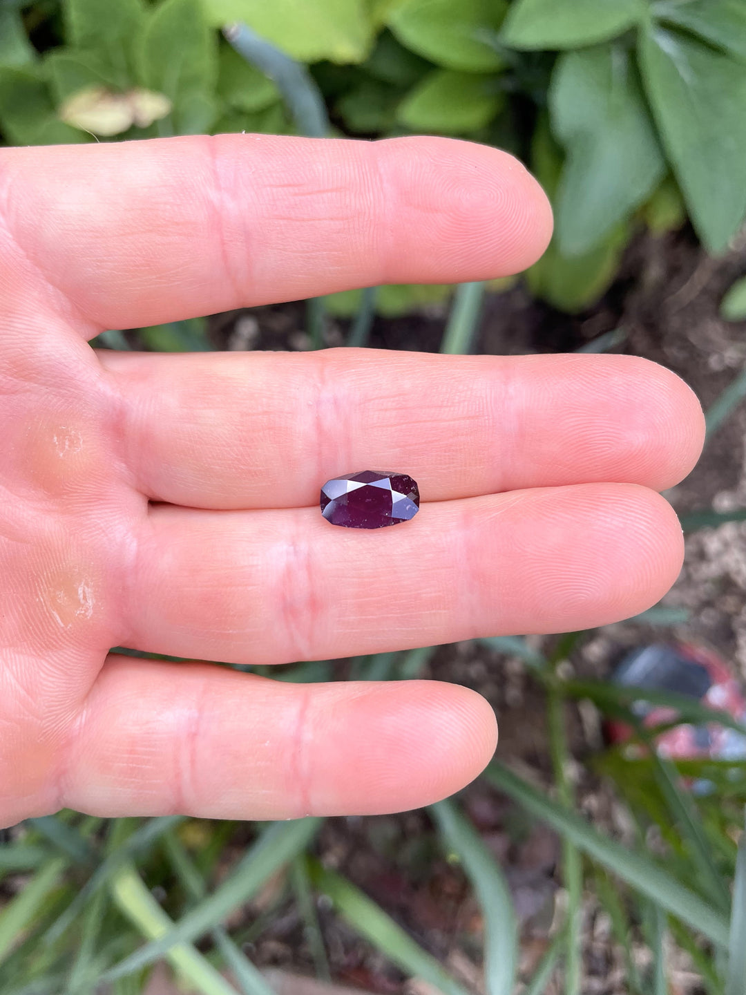 Hand-held view of a 3.81-carat raspberry plum sapphire from Umba River, Tanzania, in an elongated double rose cut.