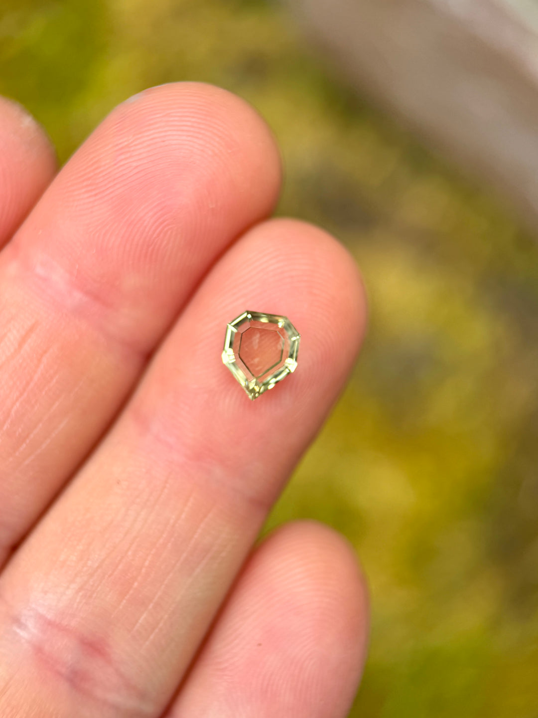1.55CT Sapphire: Yellowish Green Shield Portrait Cut