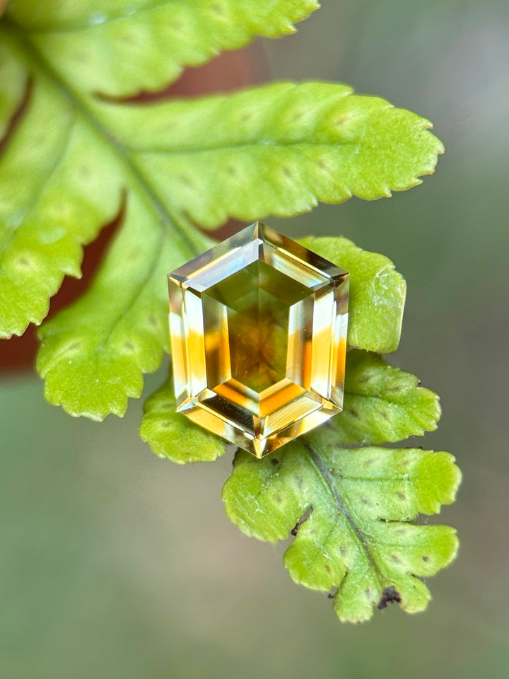 0.92CT Sapphire: Orange Yellow Colorless Parti Geometric Hexagonal Step Cut