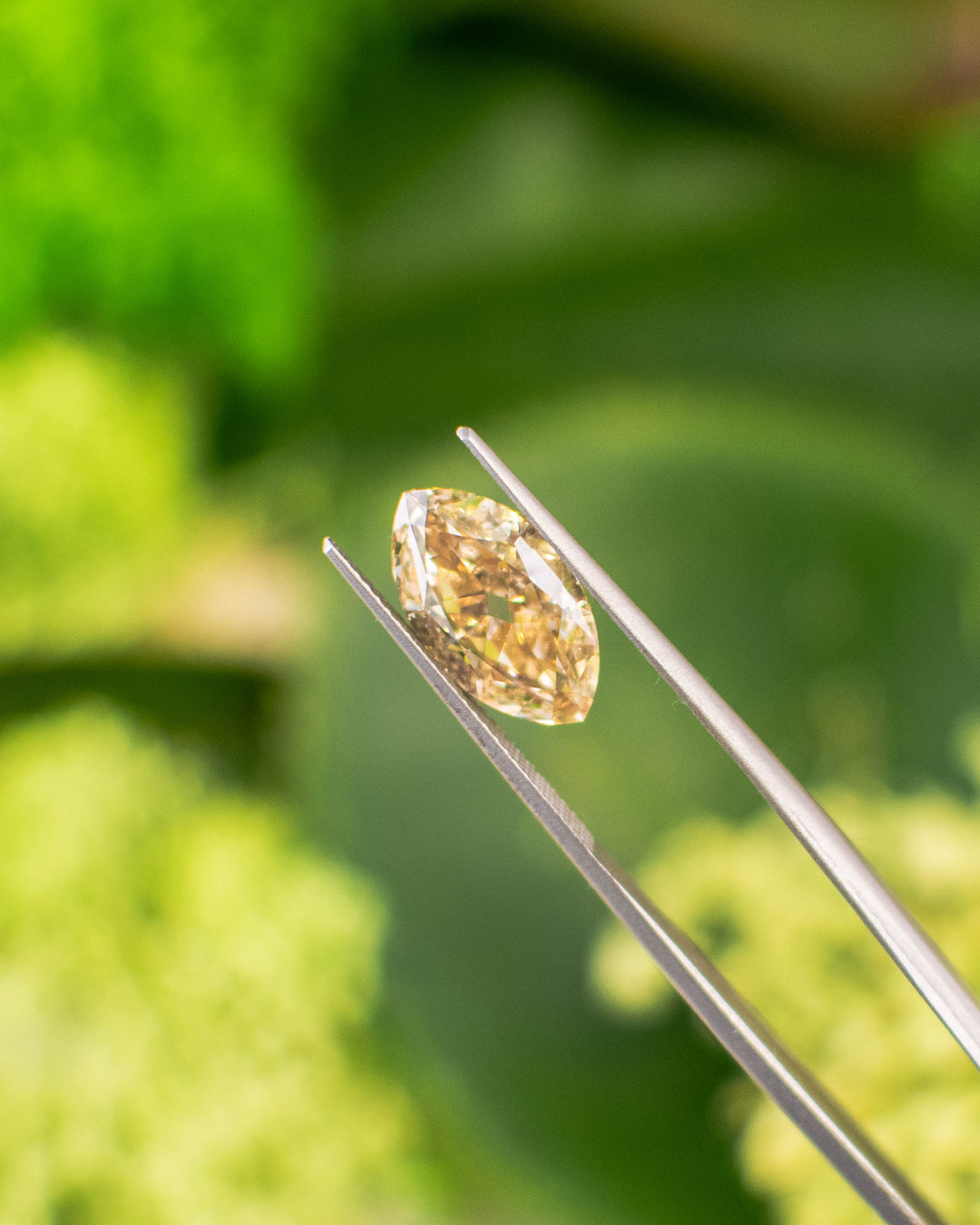 4.01 carat natural fancy yellow brown rosy champagne diamond held in gem tweezers under natural light. The moval modified brilliant cut showcases exceptional brilliance and untreated South African origin.