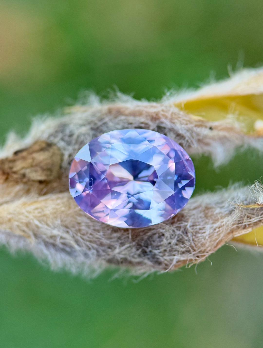 4.04 carat sapphire in soft violet and pink hues resting on a textured natural surface, showing its color-shifting brilliance in daylight, precision oval cut from Sakaraha, Madagascar.