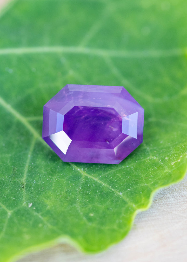 4.13 carat opalescent purple pink antique emerald cut sapphire resting on a green leaf background