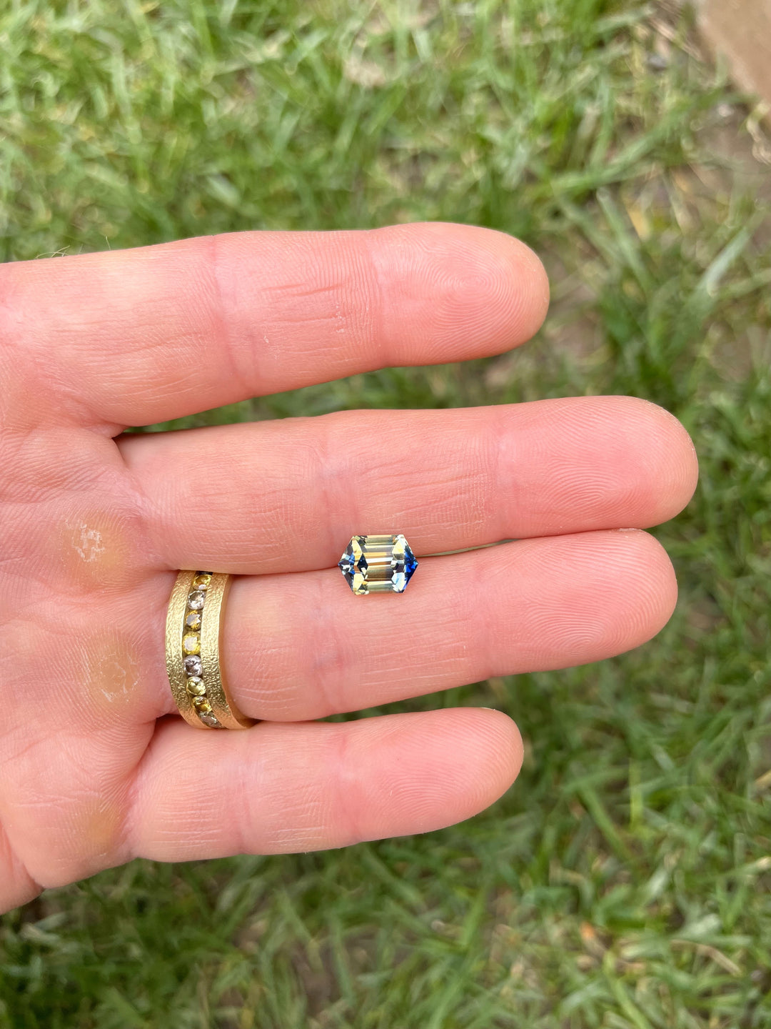 Parti sapphire held on a fingertip above grass, showing an even split of vivid blue and yellow in a hexagonal step cut.