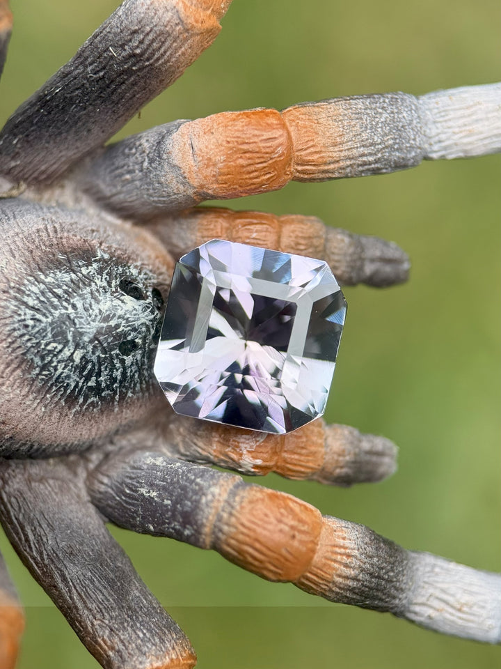 Spider holding a tanzanite on its leg against a blurred green background