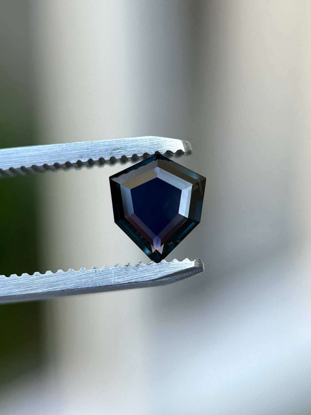 1.37CT Sapphire: Deep Blue Shield Portrait