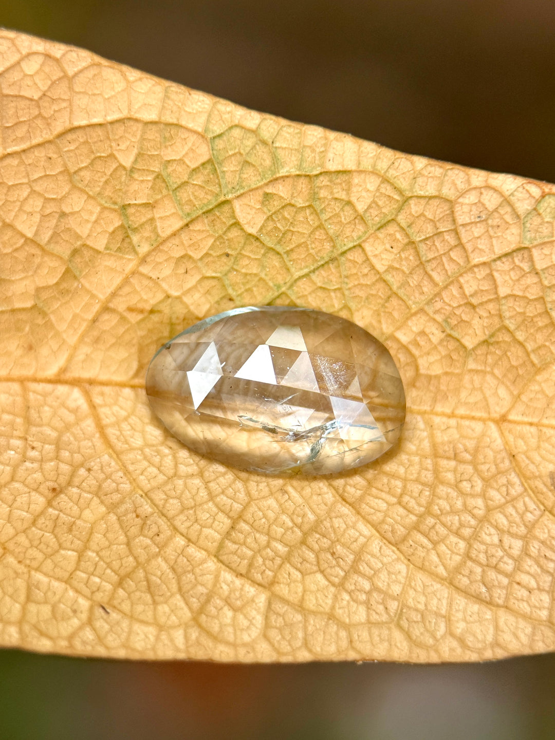 1.43CT Sapphire: Light Seafoam Bluish Green Free Form Rose Cut