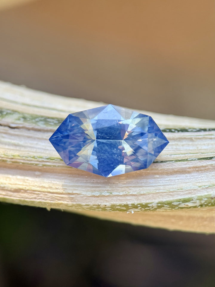6.07 carat opalescent periwinkle blue sapphire resting on a natural branch, displaying soft shifting tones and the reflective brilliance of the precision custom marquise mixed cut, untreated gemstone from Sakaraha, Madagascar.
