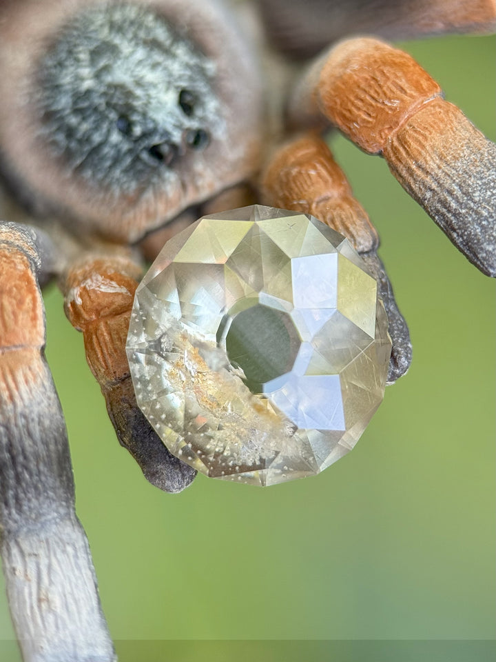 Macro shot of a 6.38ct untreated round Portuguese sapphire held by a tarantula claw, featuring green, gray, and yellow hues – Umba River, Tanzania