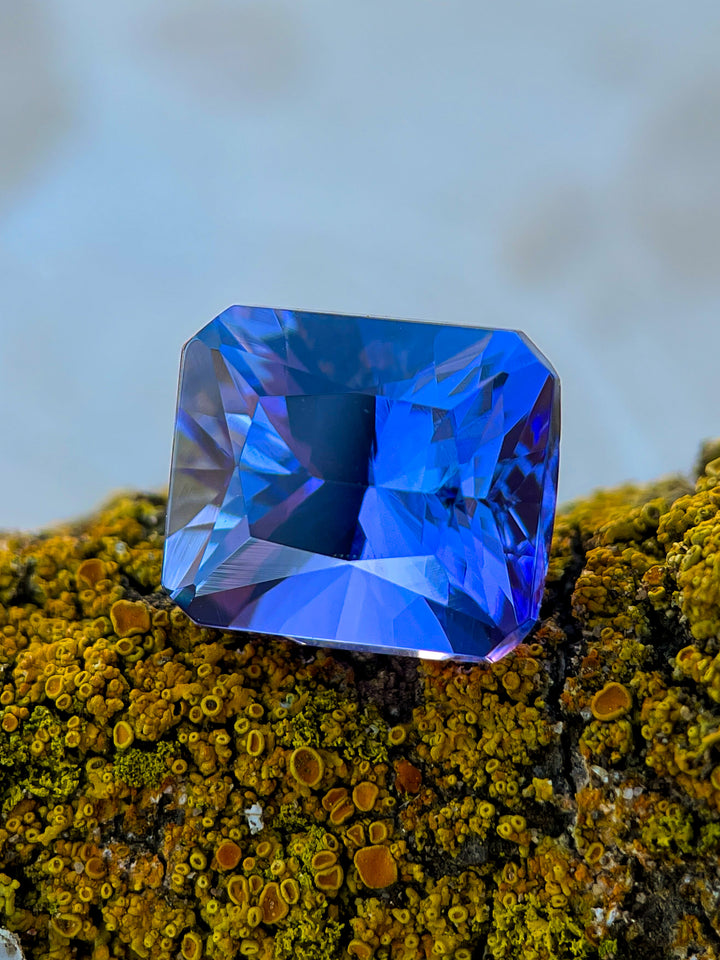 A 7.24-carat Tanzanite gemstone in ultra-violet and steel blue colors resting on vibrant yellow-green moss, highlighting its intricate facets.