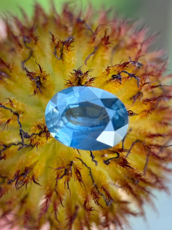 1.81CT Sapphire: Deep Oceanic Greyish Blue Oval Mix Cut