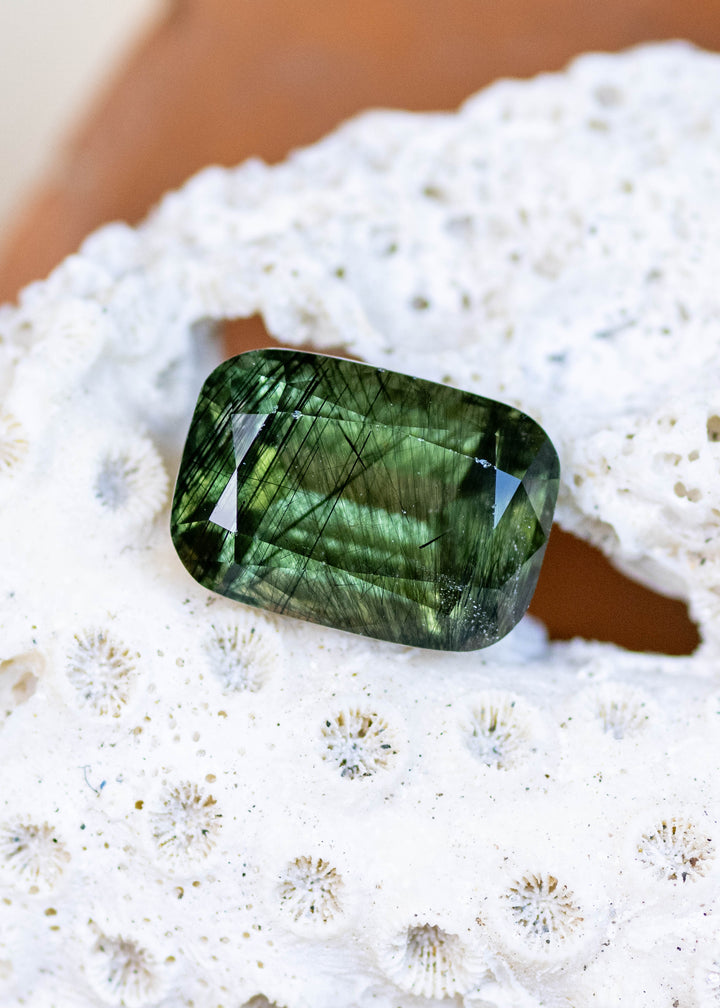 Natural untreated 8.25 carat deep forest green peridot from Skardu, Pakistan displayed on coral, showcasing its elongated cushion mix cut and intricate natural needle inclusions.