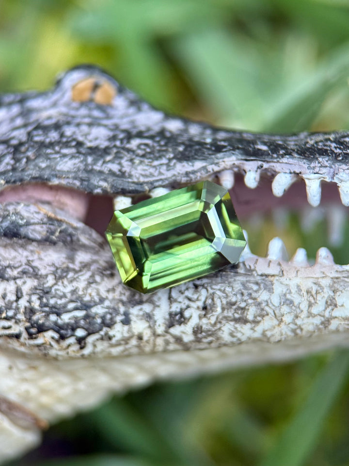 2.03CT Sapphire: Vibrant Earthy Green Precision Emerald Cut