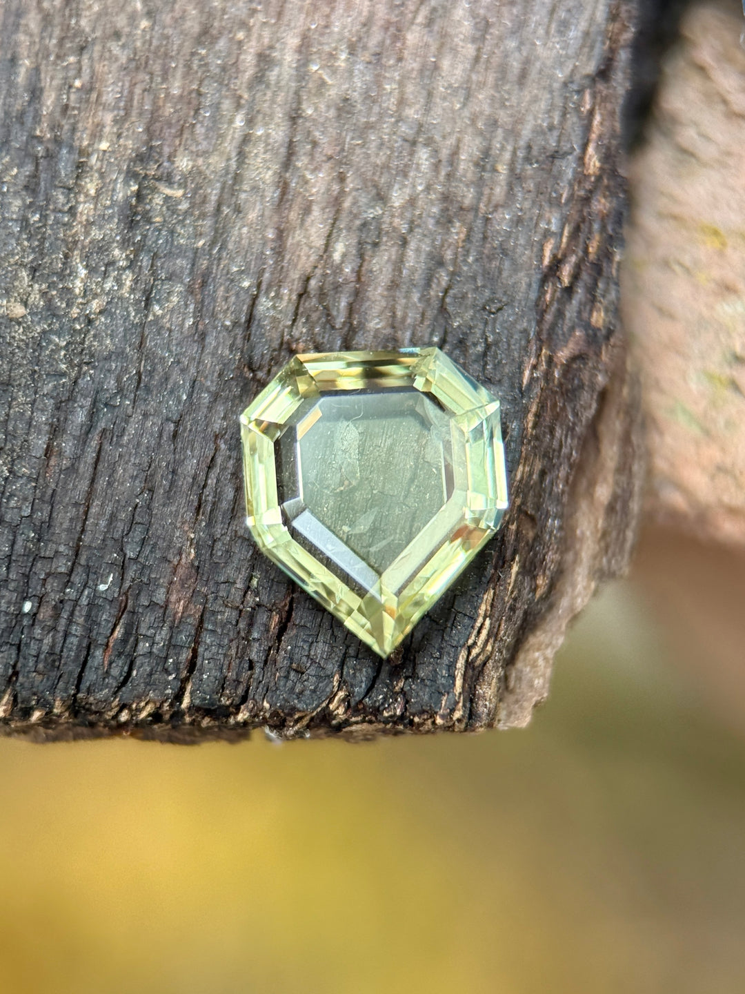1.55CT Sapphire: Yellowish Green Shield Portrait Cut