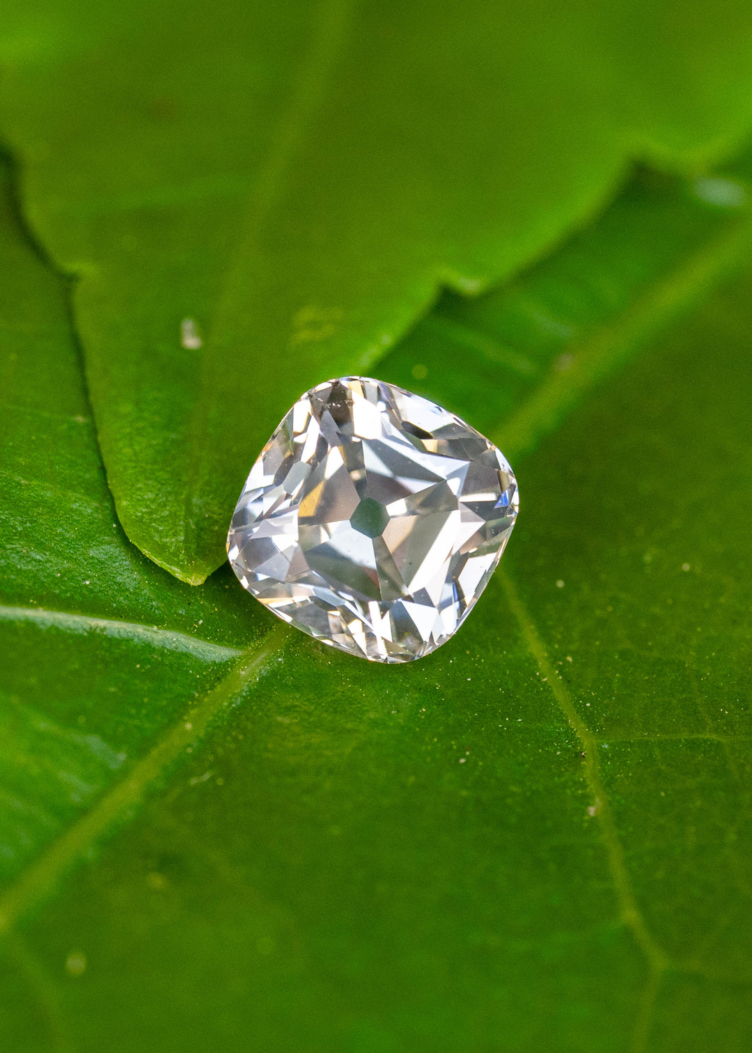A 0.79 carat white antique-style cushion cut diamond resting on a vibrant green leaf, displaying broad vintage-inspired facets and bright natural brilliance.