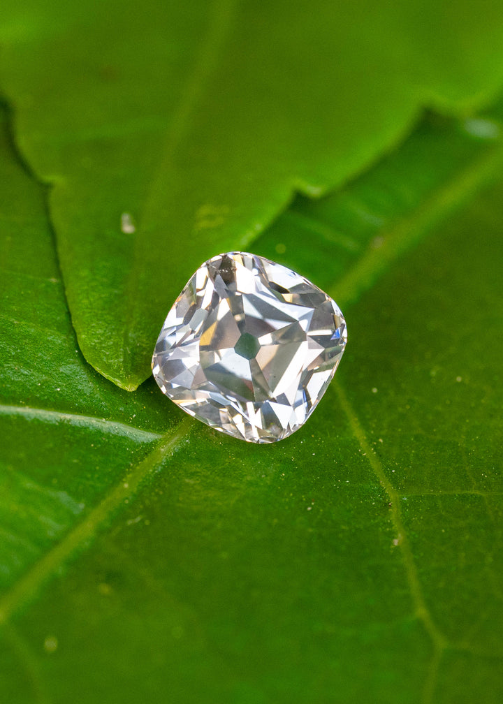 A 0.79 carat white antique-style cushion cut diamond resting on a vibrant green leaf, displaying broad vintage-inspired facets and bright natural brilliance.