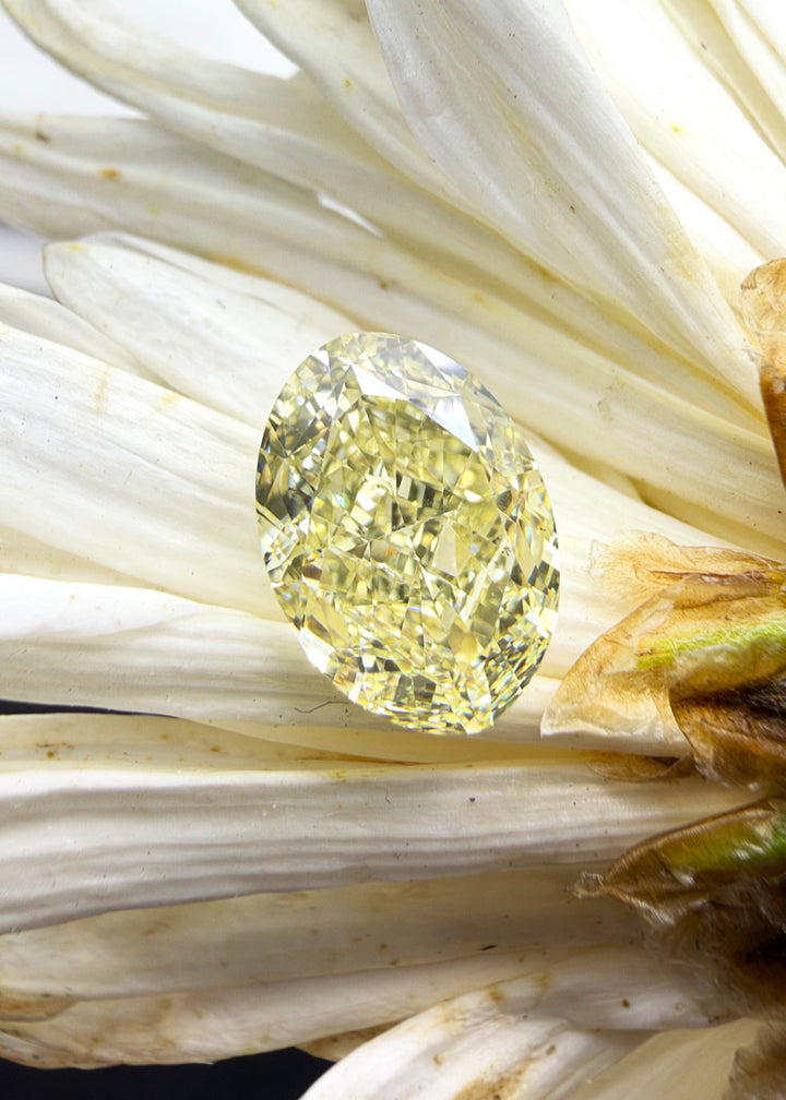 A 1.27-carat Fancy Light Yellow oval cut diamond with VS2 clarity, featuring a delicate golden hue and timeless elongated silhouette. An elegant loose diamond for custom engagement rings.