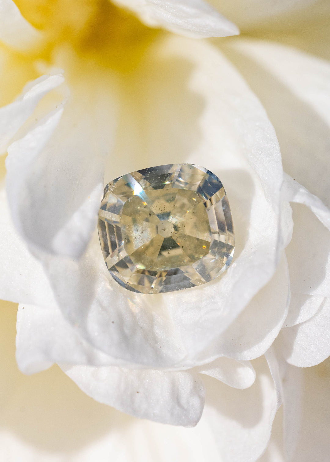 A 1.60 carat yellow antique-style cushion cut diamond resting on white flower petals, displaying warm golden color, broad vintage facets, and natural inclusions.