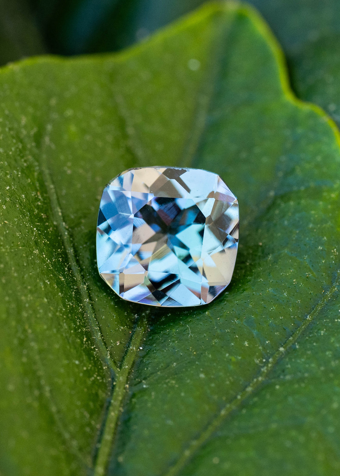 A 2.08 carat untreated Tanzanite resting on a green leaf, displaying vivid pleochroic teal, blue, green, and purple colors in a custom modified square radiant cut.
