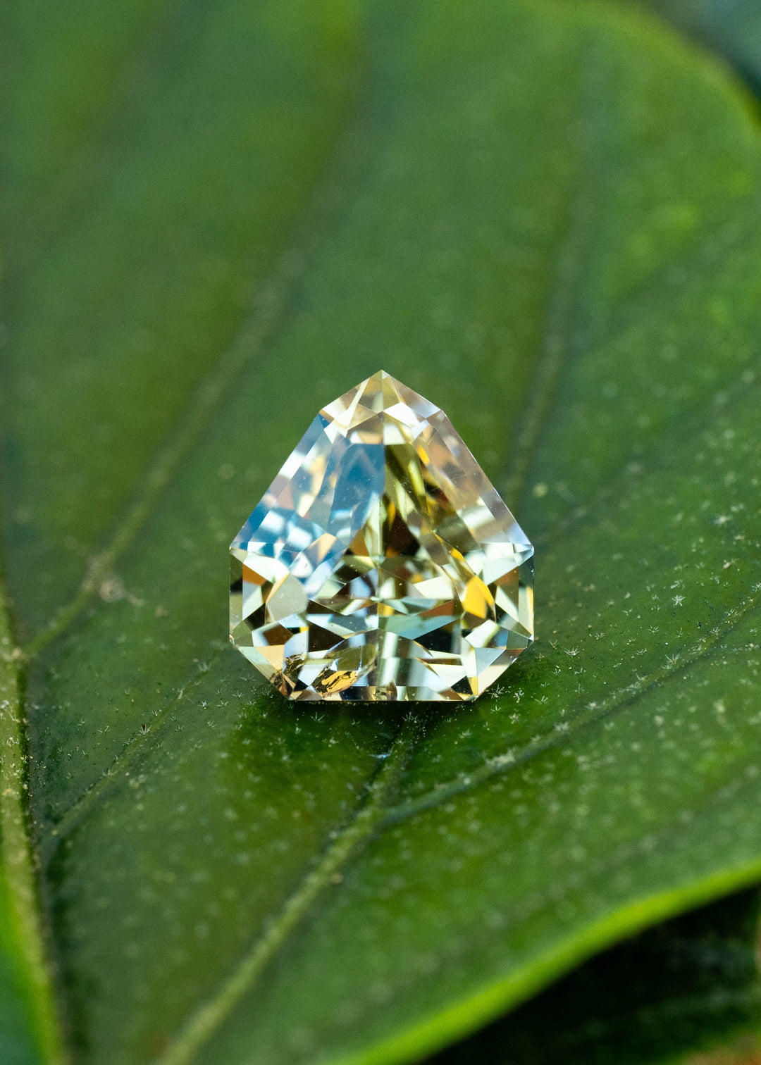 A 2.42 carat untreated Tanzanite resting on a green leaf, displaying natural pleochroic teal, green, and golden yellow colors in a custom geometric shield cut.