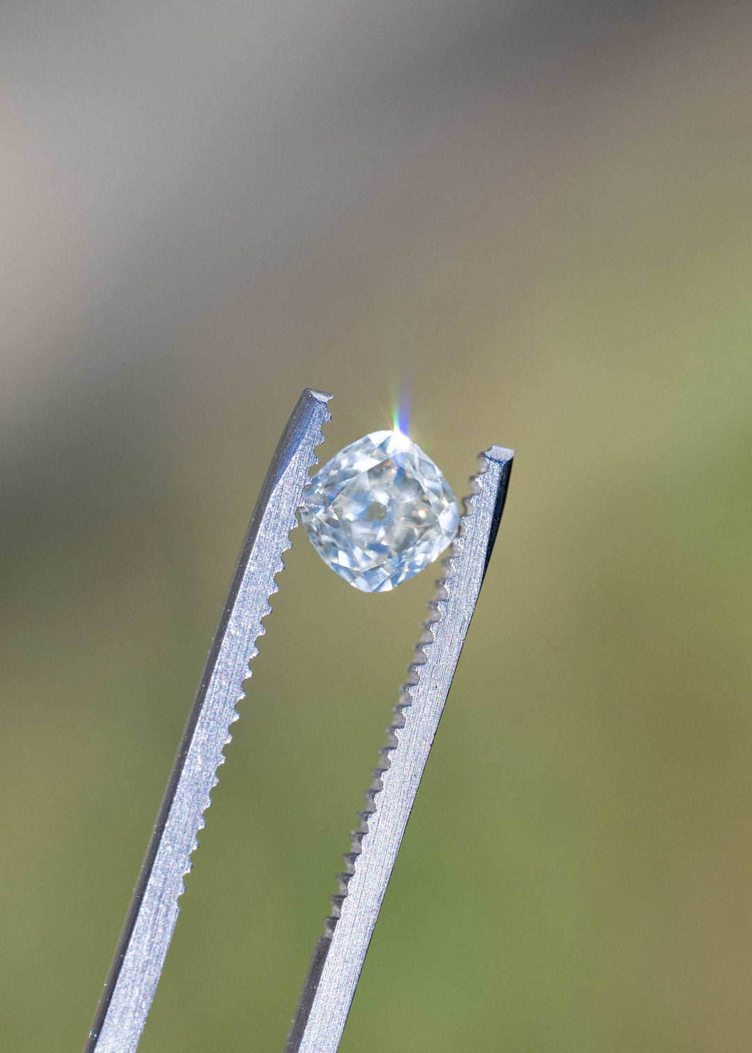 A precision antique cushion cut white diamond held in tweezers in direct sunlight, displaying broad flashes of brilliance and clean geometric reflections.