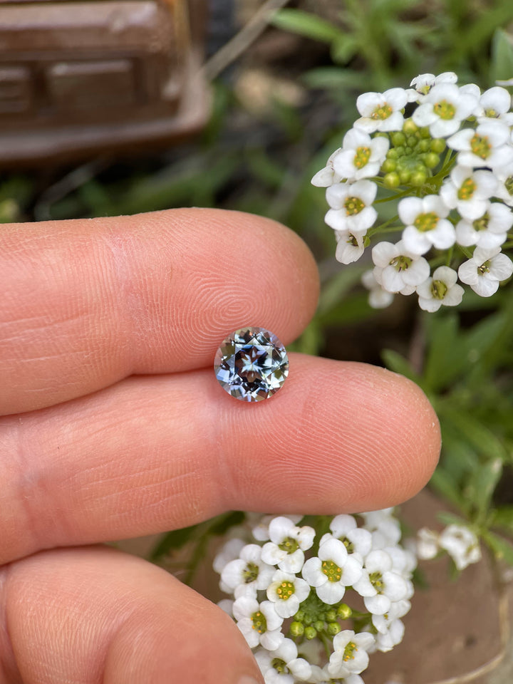 2.26ct Tanzanite round gemstone held by fingers near white alyssum flowers, glowing in blue, teal, and purple