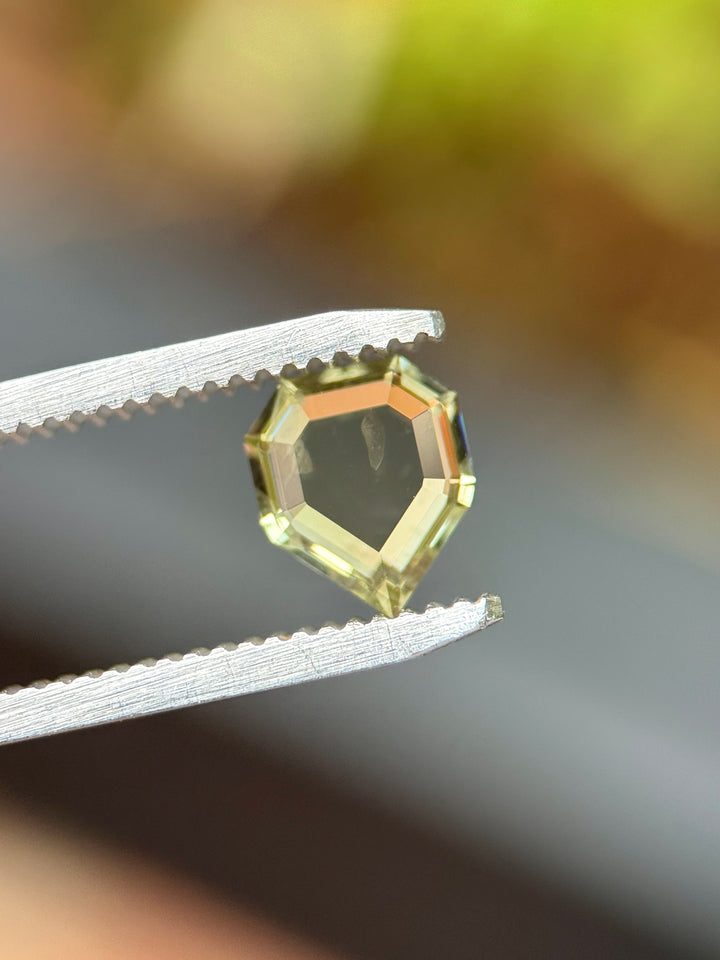 1.55CT Sapphire: Yellowish Green Shield Portrait Cut