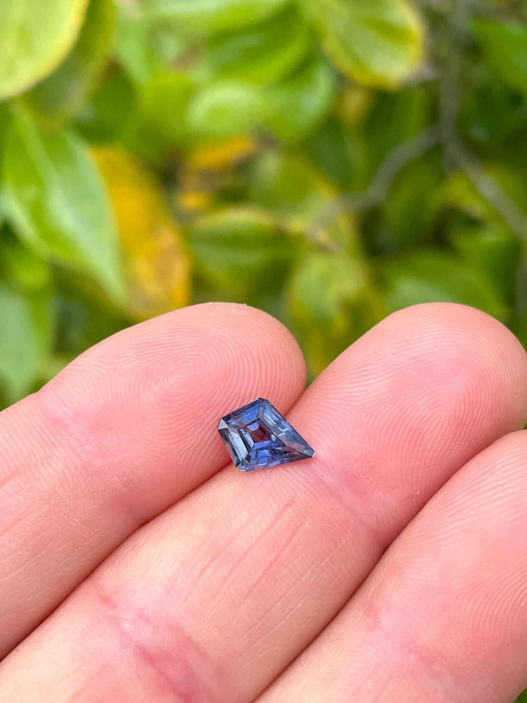 1.37 carat parti-colored sapphire, showcasing shades of teal, purple, and blue, presented in hand with a vibrant natural background