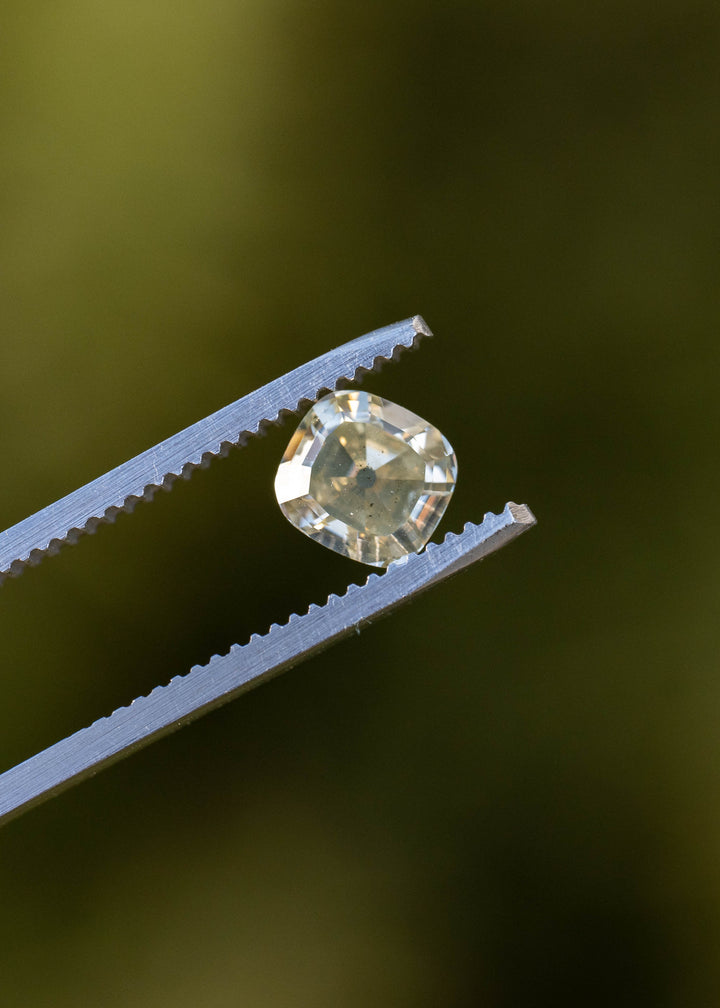 Close-up of a precision antique cushion cut yellow diamond held in tweezers outdoors, revealing soft golden brilliance and geometric facet reflections.