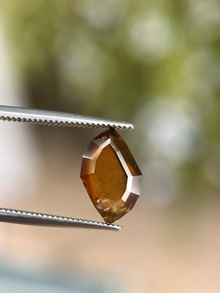 A 3.78-carat cognac-colored sapphire with a custom leaf portrait cut, held by tweezers against a blurred natural background. The stone's earthy brown tones shine through its precision-cut facets. The sapphire, untreated and sourced from the Umba River, Tanzania, measures 12.76mm by 4.78mm by 3.80mm.
