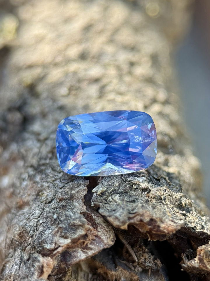 Cornflower blue 2.30 carat sapphire photographed on natural bark surface, showcasing precision elongated cushion mixed cut and untreated Madagascar origin.