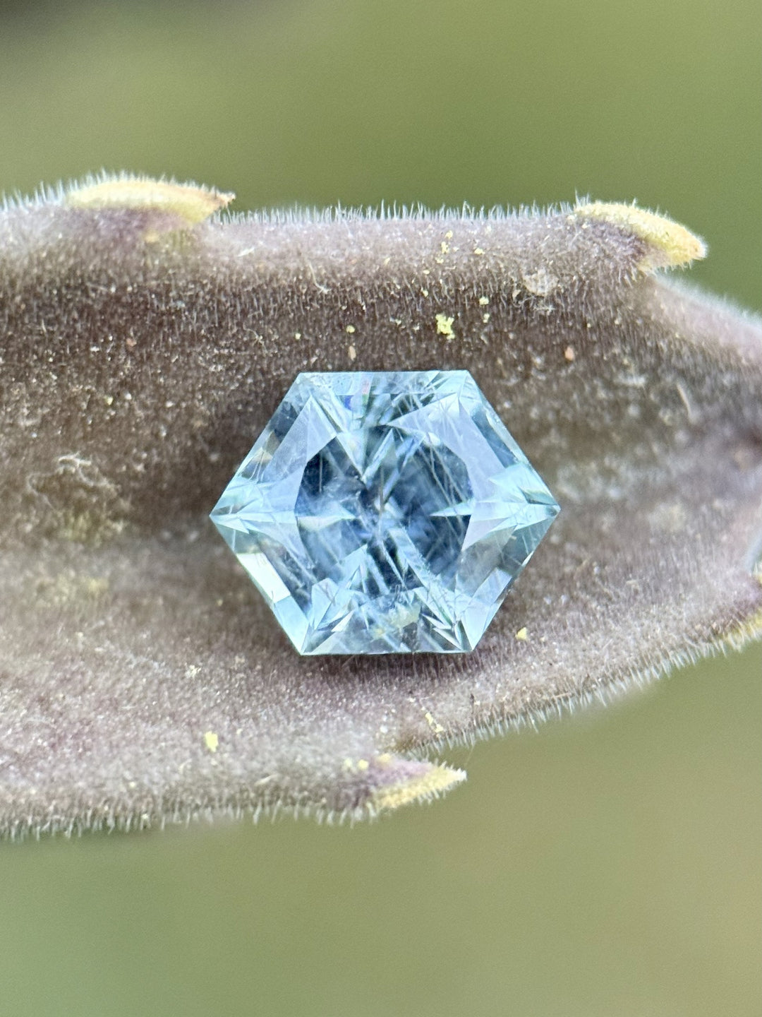 Macro shot of untreated hexagon-cut Montana sapphire on fuzzy botanical surface