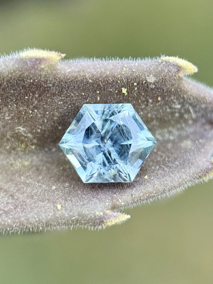 Macro shot of untreated hexagon-cut Montana sapphire on fuzzy botanical surface